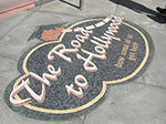 CIMG6678.jpg