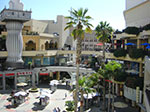 CIMG6685.jpg