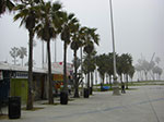 CIMG6755.jpg