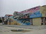 CIMG6775.jpg