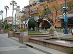 CIMG6844.jpg