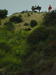 CIMG7005.jpg