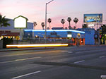 CIMG7239.jpg