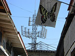 CIMG7308.jpg