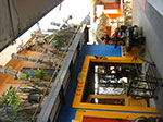 CIMG7310.jpg