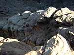 CIMG7764.jpg