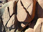 CIMG7856.jpg