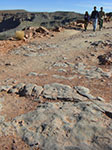 CIMG7862.jpg