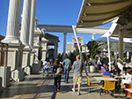 CIMG8064.jpg