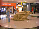CIMG8112.jpg