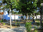 CIMG8219.jpg