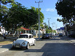 CIMG8220.jpg