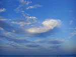 CIMG8247.jpg