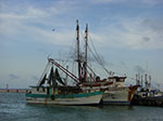 CIMG8499.jpg