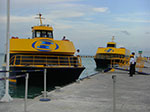 CIMG8503.jpg