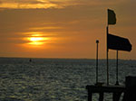 CIMG8505.jpg