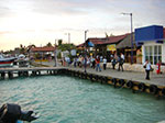 CIMG8511.jpg