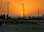 CIMG8512.jpg