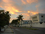 CIMG8513.jpg