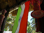 CIMG8534.jpg
