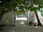 CIMG8535.jpg