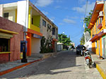 CIMG8539.jpg