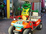 CIMG8546.jpg