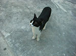 CIMG8556.jpg