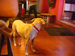 CIMG8563.jpg