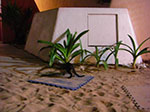 CIMG8566.jpg