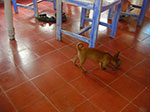 CIMG8576.jpg