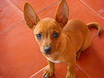Photos