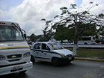CIMG8593.jpg