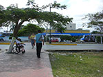 CIMG8594.jpg