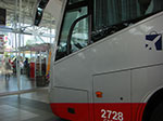 CIMG8597.jpg