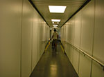 CIMG8603.jpg