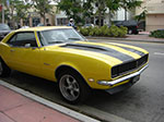 CIMG8620.jpg