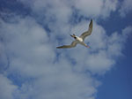 CIMG8631.jpg