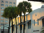 CIMG8646.jpg