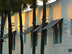 CIMG8648.jpg