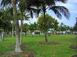 CIMG8660.jpg