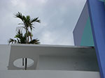 CIMG8676.jpg