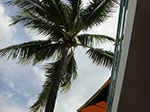CIMG8681.jpg