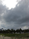CIMG8699.jpg