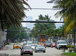 CIMG8799.jpg