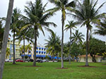 CIMG8800.jpg
