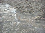 CIMG8868.jpg