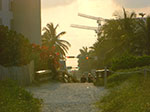 CIMG8872.jpg