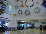 CIMG8940.jpg