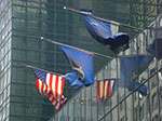 CIMG9009.jpg